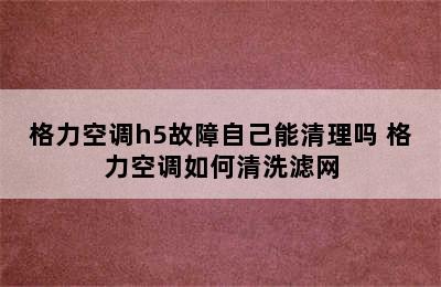 格力空调h5故障自己能清理吗 格力空调如何清洗滤网